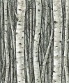 Tapeta 35380 Timber