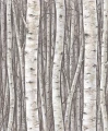 Tapeta 35394 Timber