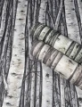 Tapeta 35394 Timber