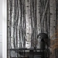 Mural Tapeta 35395 Timber