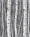 Tapeta 35397 Timber