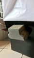 AR101 MATOWY NAKLEJKA DEKORACYJNA ARS-101 MAT marble
