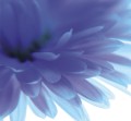 23379f149eaa40d2543fdd47928646a8