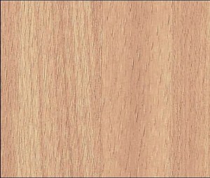Okleina Meblowa 10807 / 55636 Venilia buk plamisty naturalny szer 90 cm
