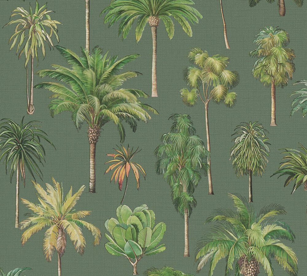 a35885786862b643def15a85a26b2634