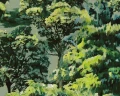 57c890578b8cfbab27e98c3ac4229a61