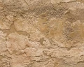 001bfbbdfb8c3816e04813b9965bf9f6