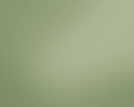 TAPETA 37680-4 New Life