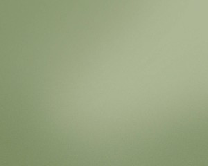 TAPETA 37680-4 New Life