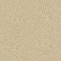1eaf3f174f15428f7bdeb0446e84a356