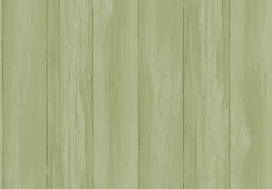 TAPETA 4475 MOMI - WOODY