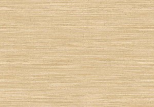 TAPETA 5892 JAIPUR - JAKHAADI