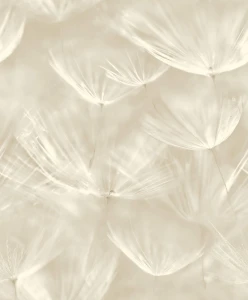 TAPETA 210901 Grandeco  Dmuchawce