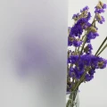b38c2e5f4d82a3e583f45a863dfee4ea