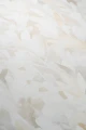 0a06ed2e04c795f5feef361af9be97a9