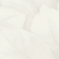 0e1eae963869870b8de20c6cd68cc133