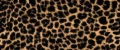 4b534e4037e00c6152ecb83162050f23