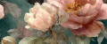ca98d5e6577af6829a32b89b50f3ac49