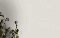 TAPETA 33328 BOTANICA