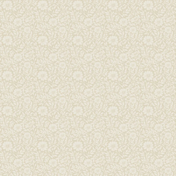 8efc487e89ef41efb2cac4fe9a3953da