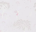 d5adb666ee5f908ff729b0a20e302ee1
