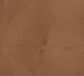 0abb5b4e0ca5ea21dc6b216c46f44002