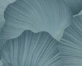 d763e46c80602f3f7cbe0bbb49366b37