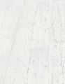 05554-02_zoom_luma.jpg
