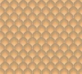 ed48f94d5fddf0313b034b3d39d4e129