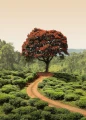 Fototapeta na flizelinie 5036-2V-1 Red Tree and Hills in Sri Lanka