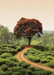 FotoTAPETA na flizelinie 5036-4 Red Tree and Hills in Sri Lanka