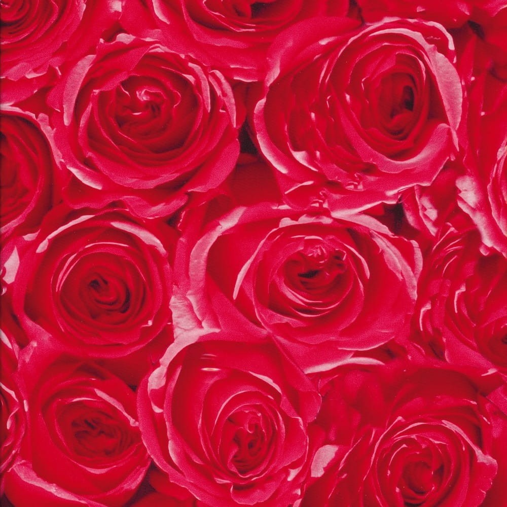 OKLEINA MEBLOWA GEKKOFIX 12679 ROSES