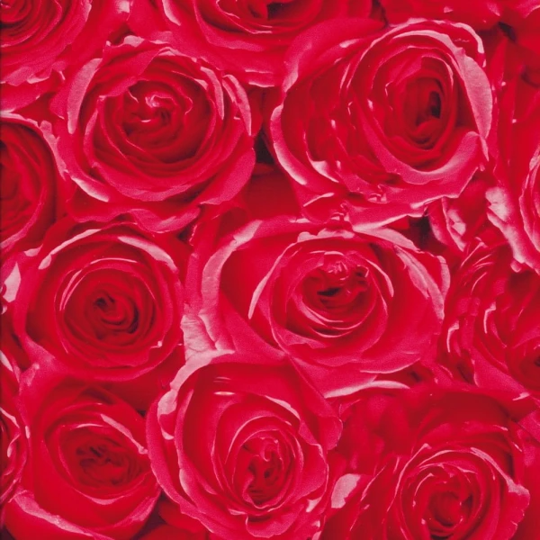 OKLEINA MEBLOWA GEKKOFIX 12679 ROSES