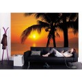 Fototapeta 8-255 Palmy Beach Sunrise   