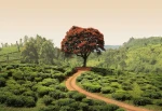 FotoTAPETA na flizelinie 5036-8 Red Tree and Hills in Sri Lanka