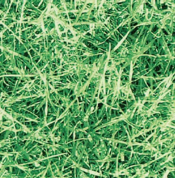 OKLEINA MEBLOWA 11565 GEKKOFIX GRASS 