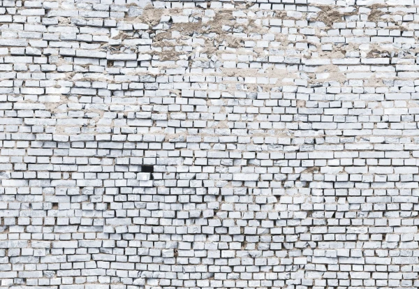 Fototapeta 8-881 White Brick