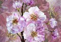 Fototapeta na flizelinie XXL4-064 Blooming Gems