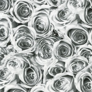 Okleina Meblowa 12856 / Gekkofix roses white grey szer 45 cm