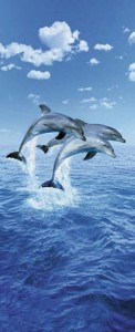 FotoTAPETA 599 Three Dolphins