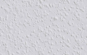 TAPETA Rauhfaser VANESSA Erfurt Raufaza 15mb