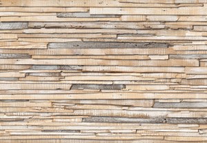 FotoTAPETA 8-920 Whitewashed Wood